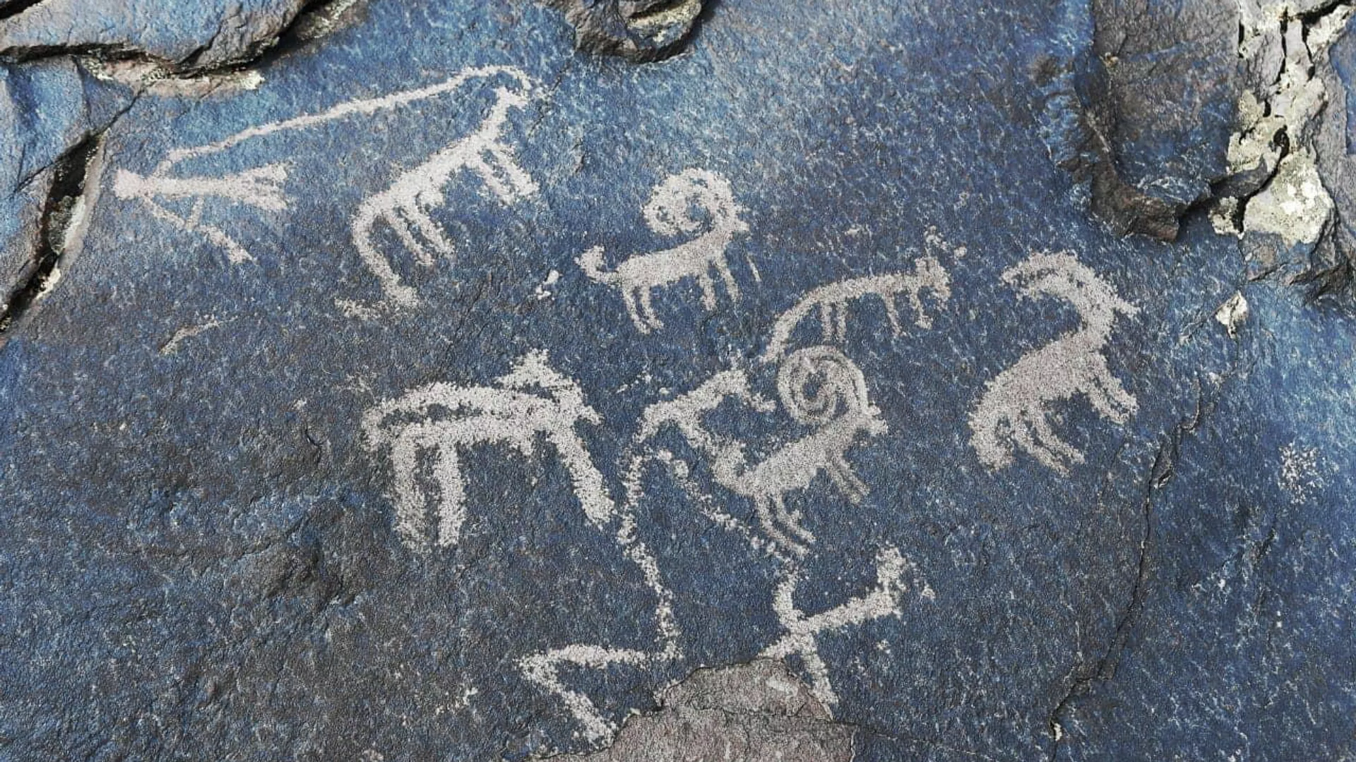 Страна петроглифов - Казахстан